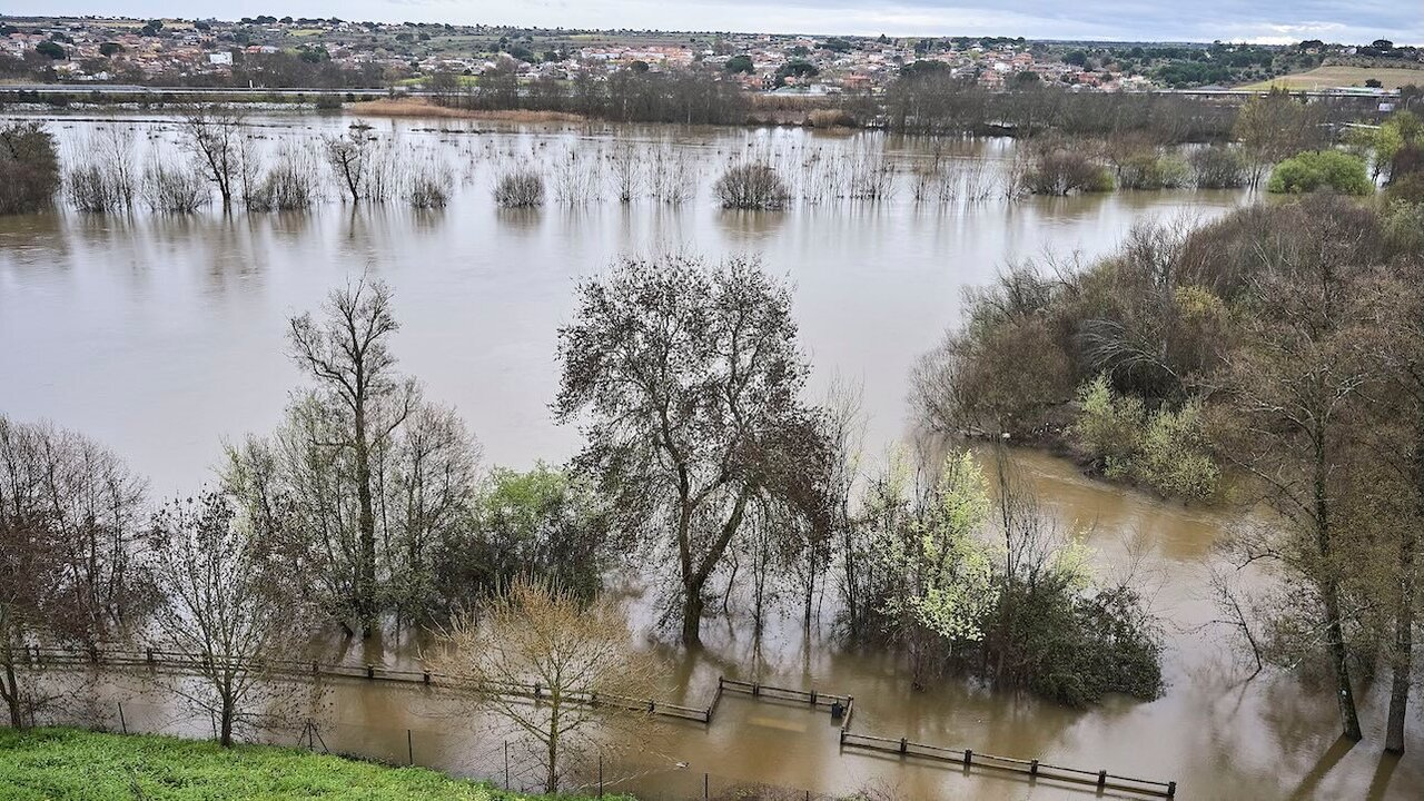 En la imagen la crecida del río Alberche este jueves a su paso por la localidad toledana de Escalona - EFE/Manu Reino