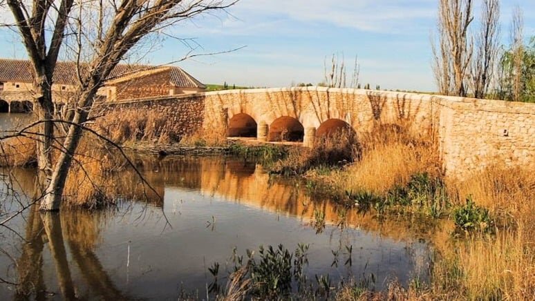 Daimiel