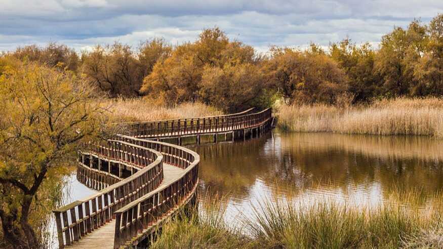 Parque Nacional de las Tablas de Daimiel